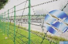 galvanized barbed wire mesh fence / barbed wire fence /prong wire fence