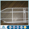 hot sale high quality galvanized expanded metal mesh manufacturer