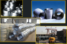 Electro/Hot Dipped Galvanized Steel Wire Factory