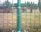 pvc coated wire fence double circle wire fence(factory manufacture)