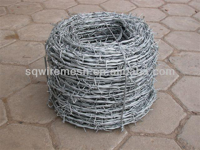 21 years galvanized barbed wire(Anping Factory)