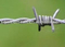 barded wire