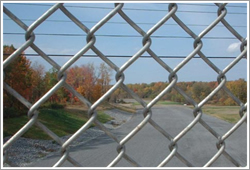 ISO High Quality galvanized chain link Wire Mesh Fence( gold factory)