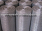 Galvanized Wire Mesh