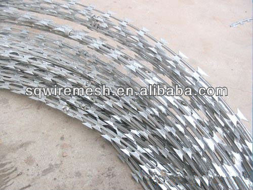 All kinds of competitive price razor barbed wire
