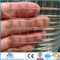 hot sale all kinds of welded wire mesh (Anping manufacture)