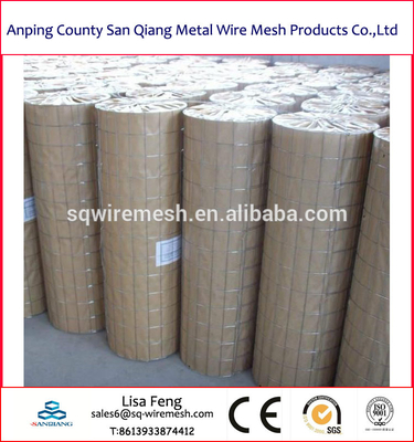 3/4''*3/4''galvanized welded wire mesh roll
