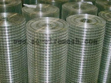 hot sell galvanized Welded wire mesh