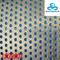 High Quality and Low Price Perforated Metal (Factory)