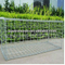 Welded Gabion Box or Baskets or Cages